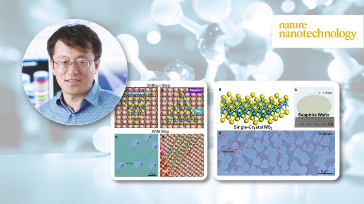 Ultra-Large Single-crystal WS2 Monolayer