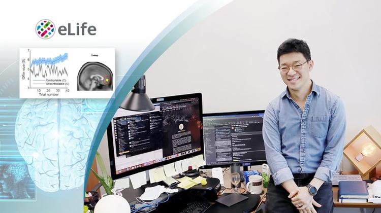 New Study Unveils Humans Use Forward Thinking to Exploit Social Controllability