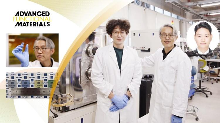 New Study Unveils Colorful Transparent Silicon Photovoltaics with Unprecedented Flexibility