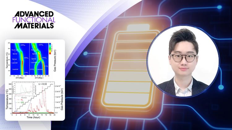 Paving the Path to Develop of Safer and Sustainable Batteries