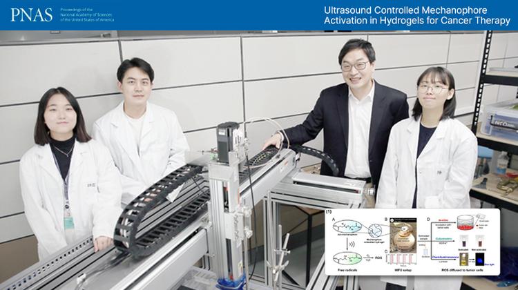 Ultrasound Controlled Mechanophore Activation in Hydrogels for Cancer Therapy