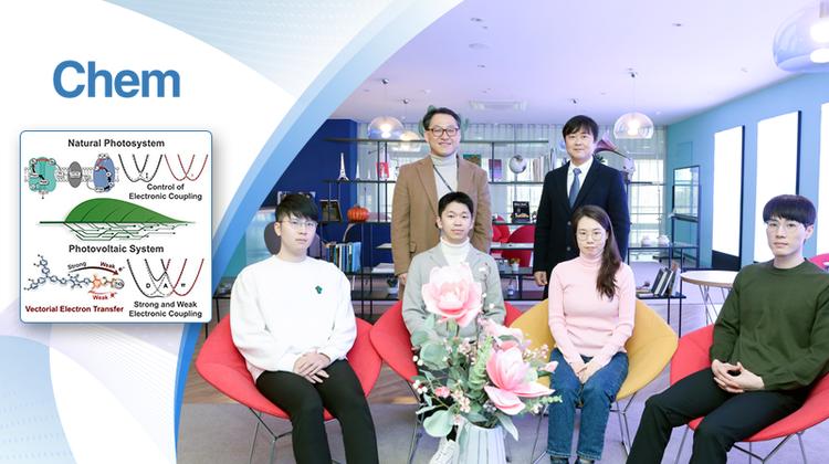 Molecular Design Strategy for Realizing Vectorial Electron Transfer in Photoelectrodes