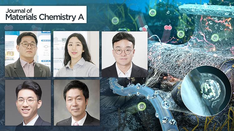 Researchers Develop Mussel-Inspired Adhesive Binders to Improve Aqueous SAB Performance