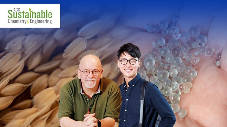 Alkali Extraction to Detoxify Rice Husk-Derived Silica and Increase Its Biocompatibility