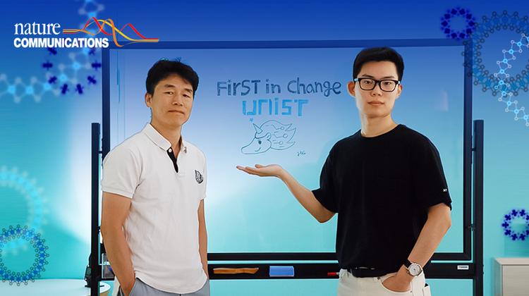 Giant Bulk Photovoltaic Effect Driven by the Wall-to-Wall Charge Shift in WS2 Nanotubes