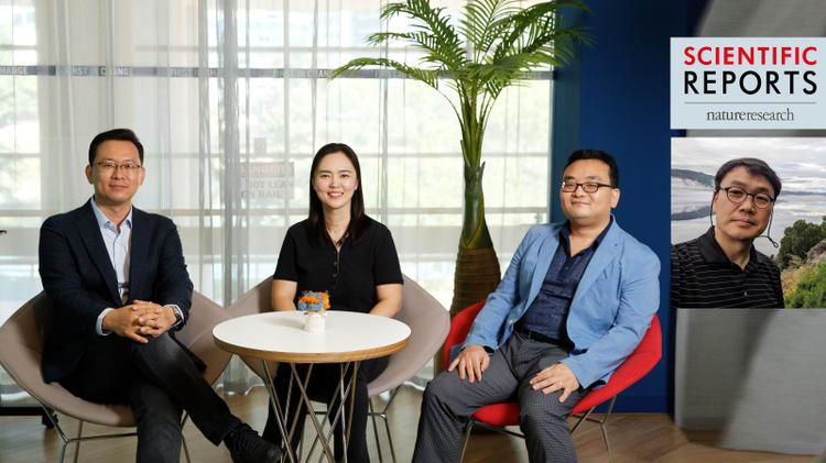 New Study Unveils the Boltzmann Fair Division for Distributive Justice