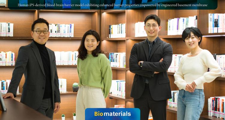 Human iPS-derived BBB Model Exhibiting Enhanced Barrier Properties Empowered by Engineered BM