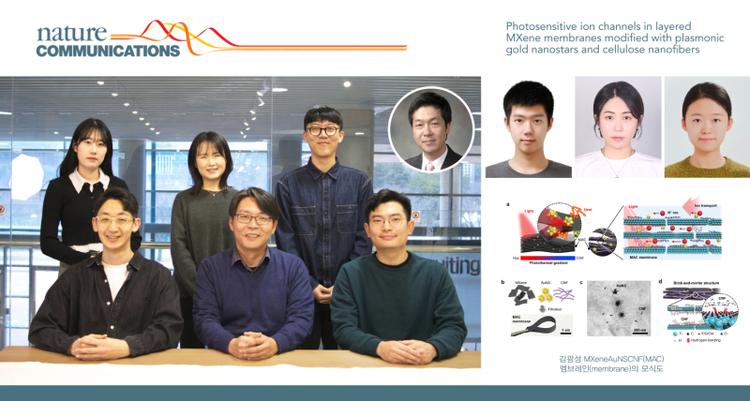 Photosensitive Ion Channels in Layered MXene Membranes Modified with AuNSs and CNFs