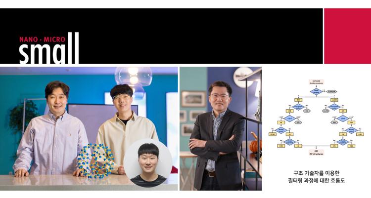 Unveiling Hidden Zeolitic Imidazolate Frameworks Guided by Intuition-Based Geometrical Factors