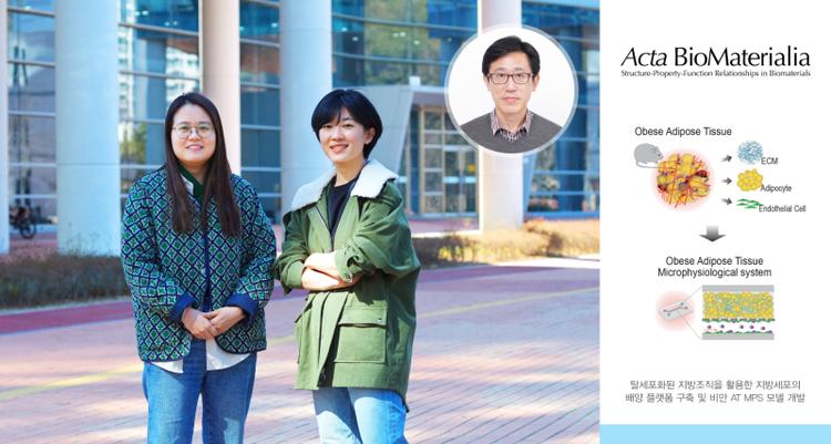 Microphysiological System Recapitulating the Pathophysiology of Adipose Tissue in Obesity