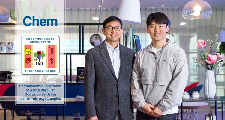 Photodynamic Treatment of Acute Vascular Occlusion by Using Iron–nitrosyl Complex