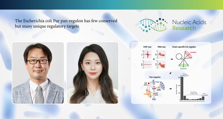 "The Escherichia Coli Fur pan-regulon Has Few Conserved, But Many Unique Regulatory Targets!"