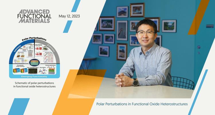 Polar Perturbations in Functional Oxide Heterostructures