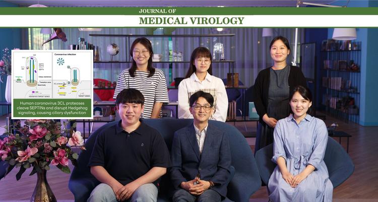 Human Coronavirus 3CL Proteases Cleave Septins and Disrupt HH Signaling, Causing Ciliary Dysfunction