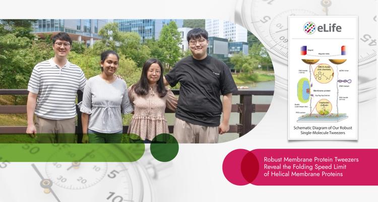 New Method Reveals Folding Speed Limit of Helical Membrane Proteins