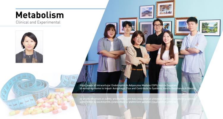 Unraveling the Link between Obesity, Diabetes, and Endotrophin