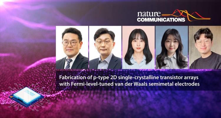 Fabrication of p-Type 2D Single-Crystalline Transistor Arrays with Fermi-Level-Tuned Van Der Waals Semimetal Electrodes