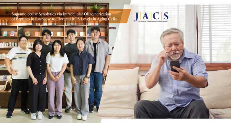 Selective Removal of Aging Cells Opens New Possibilities for Treating Age-Related Diseases