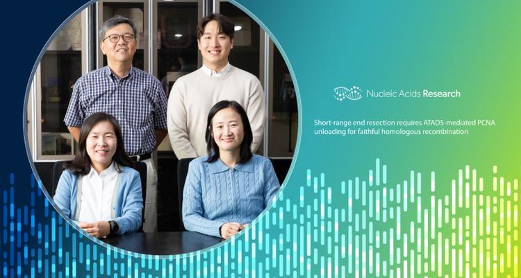 Breakthrough Research Uncovers Key Mechanism in DNA Repair Process