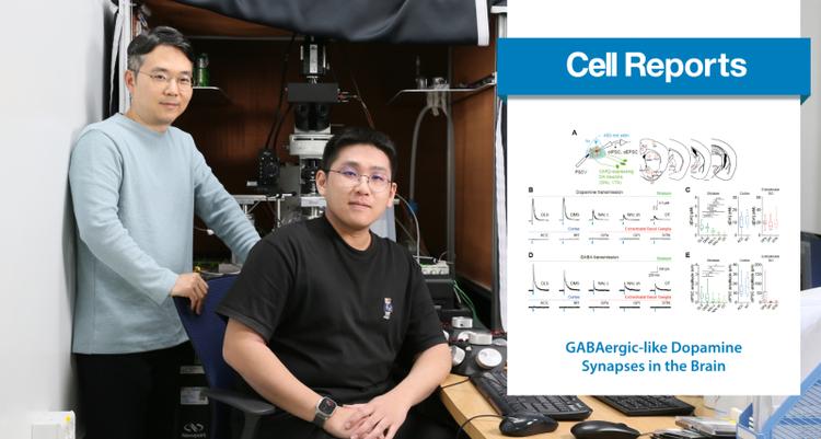 New Study Reveals Intriguing Insights into the Nature of Dopamine Synapses and its Implications for Brain Disorders