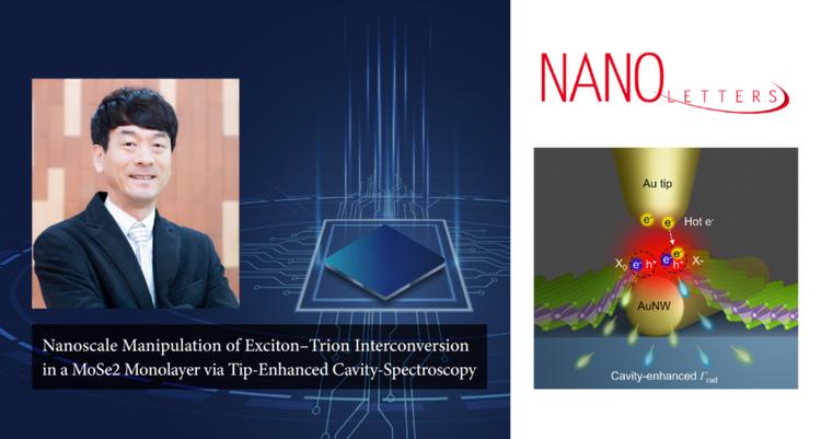 Nanoscale Manipulation of Exciton–Trion Interconversion in a MoSe2 Monolayer via Tip-Enhanced Cavity-Spectroscopy