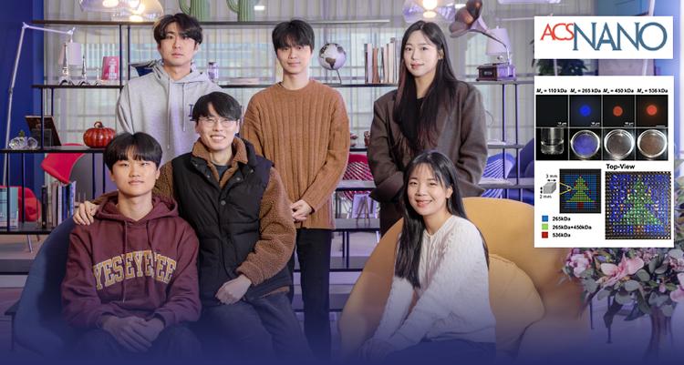 Breakthrough in Nanostructure Technology for Real-Time Color Display