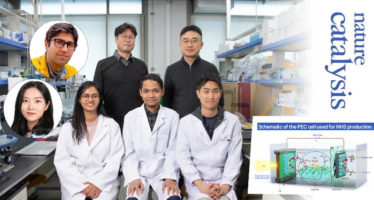 Harnessing Solar Energy for High-Efficiency NH3 Production