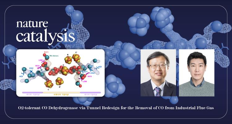 Enzyme Engineering Breakthrough for Immediate Deployment in Steel Industry Sites