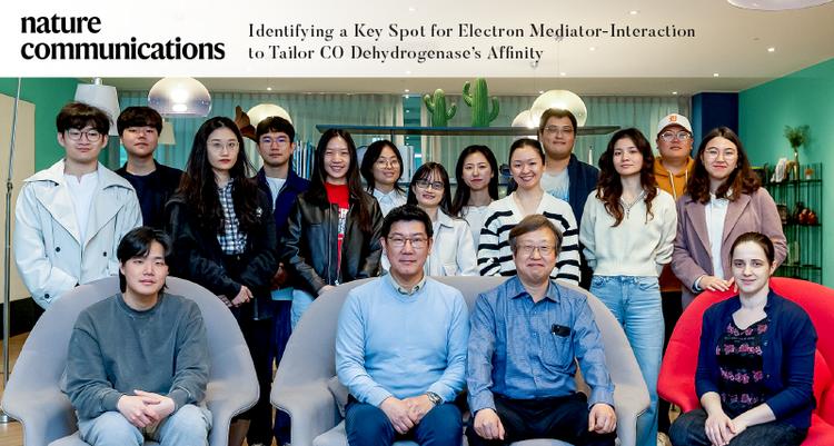 Optimizing CO dehydrogenase Affinity by Identifying Key Electron Mediator Interaction Spot