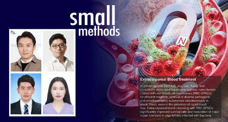 New Study Reveals Promising Technology for Sepsis Treatment Using Functional Magnetic Nanoclusters