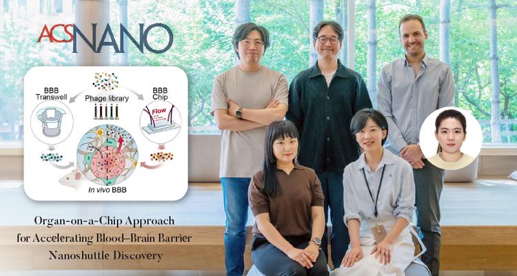 Breakthrough in Organ-on-a-Chip Technology Enhances Targeted Drug Delivery