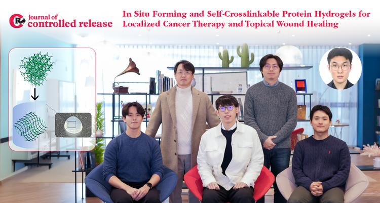 New Study Unveils Innovative Protein Hydrogel for Targeted Drug Delivery