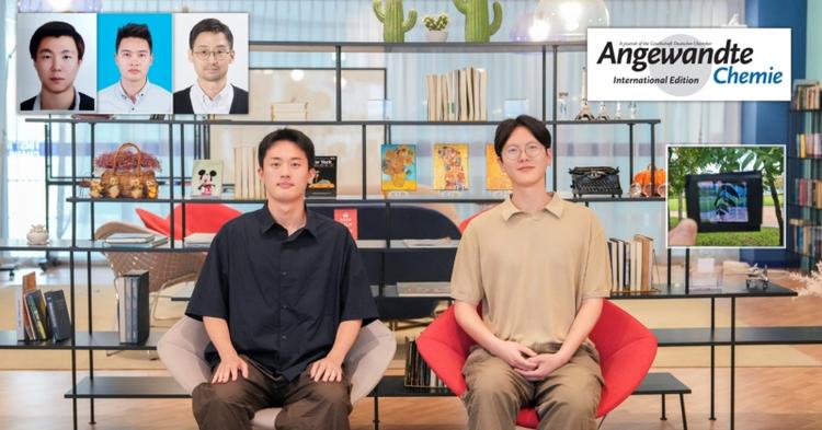 Enhanced Stability of Semitransparent Organic Solar Modules through Molecular Asymmetry