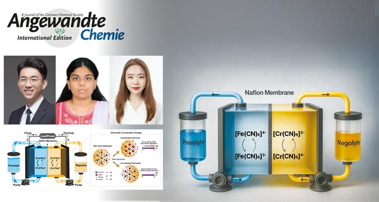 Breakthrough in Extending the Lifespan of Large-Scale Safe Energy Storage with Iron-Chromium Flow Batteries