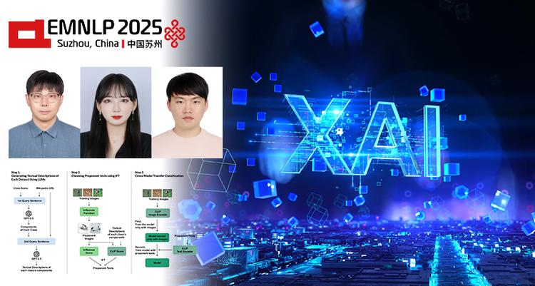 Decoding Black Box AI with Human-Readable Data Descriptions and Influence