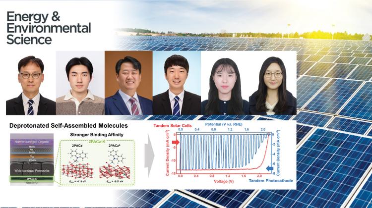 Advanced Interface Engineering for High-Performance Solar Cells and Green Hydrogen